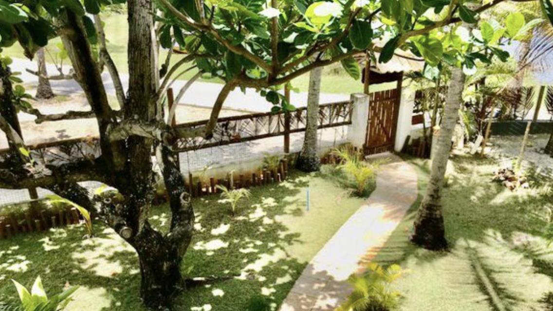 Paradise Beach House Imbassai Zewnętrze zdjęcie